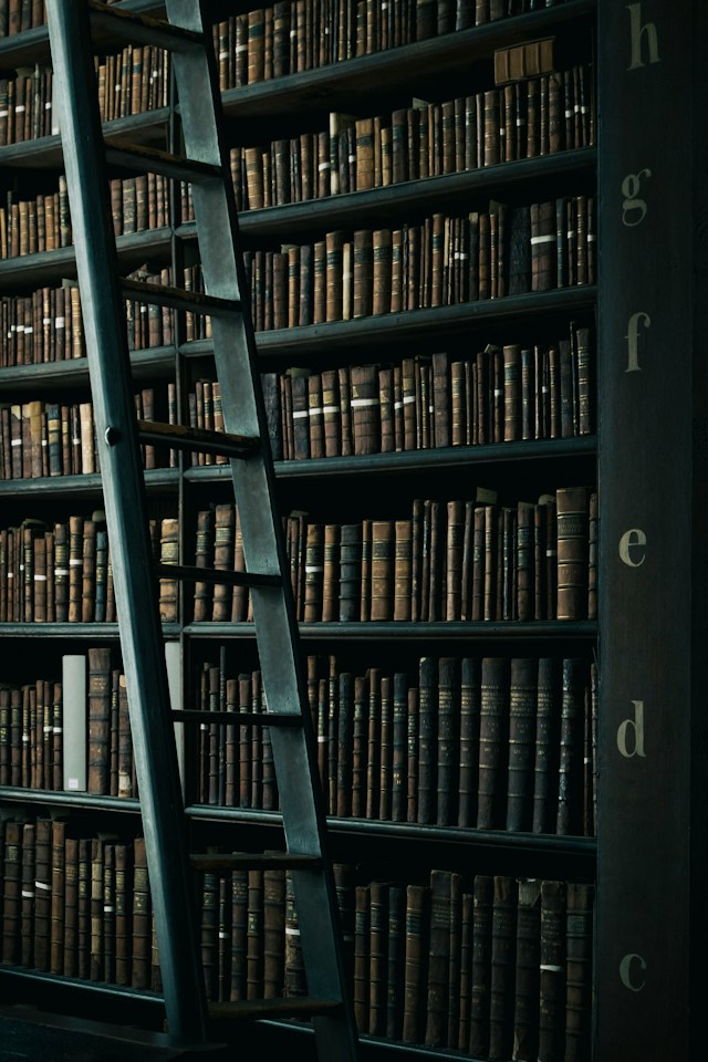 Bookshelves filled with well-loved books